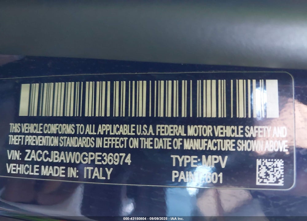 2016 JEEP RENEGADE VIN: ZACCJBAW0GPE36974
