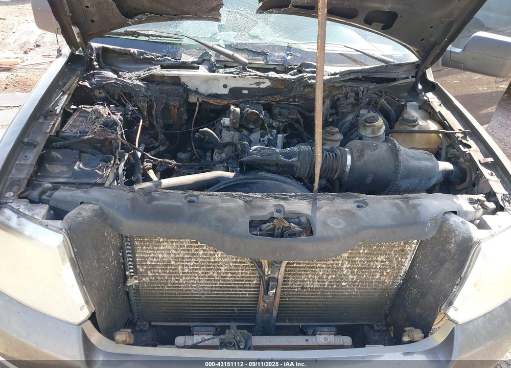 2006 FORD F-150 VIN: 1FTRW12W06FA39996