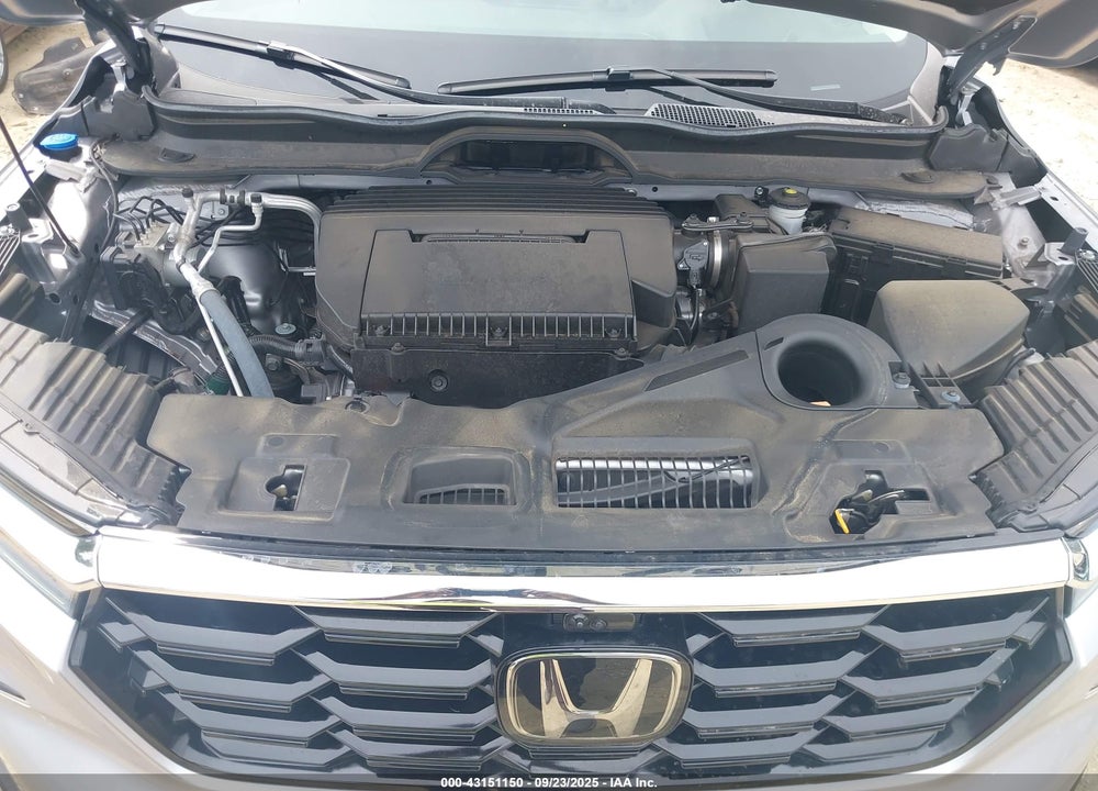 2024 HONDA PILOT VIN: 5FNYG1H89RB042860