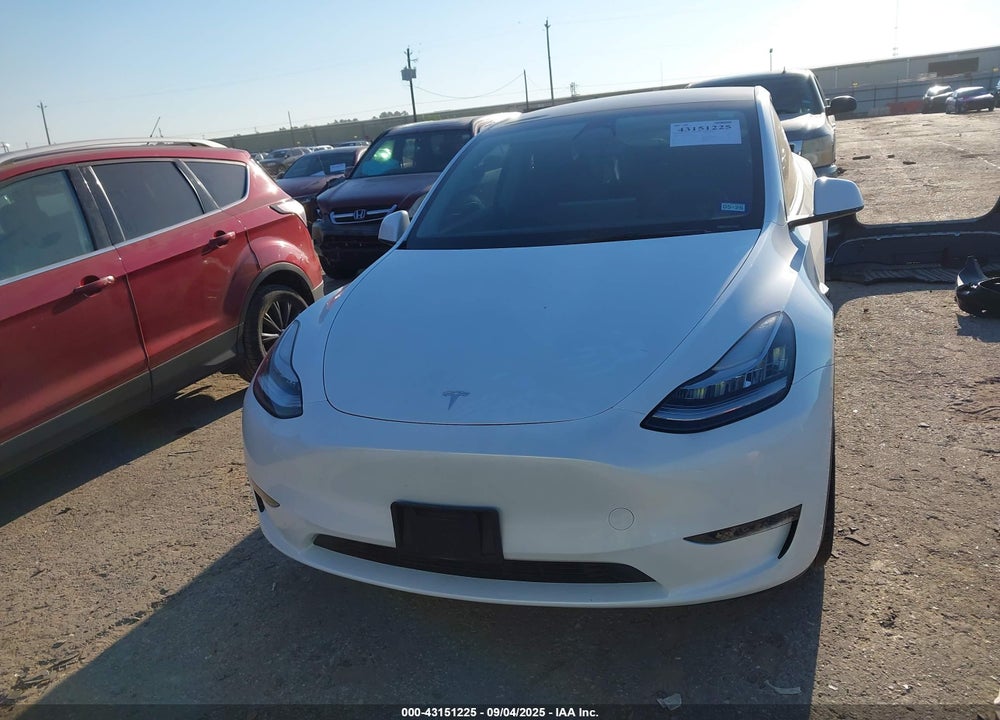 2023 TESLA MODEL Y VIN: 7SAYGDEE6PA121766
