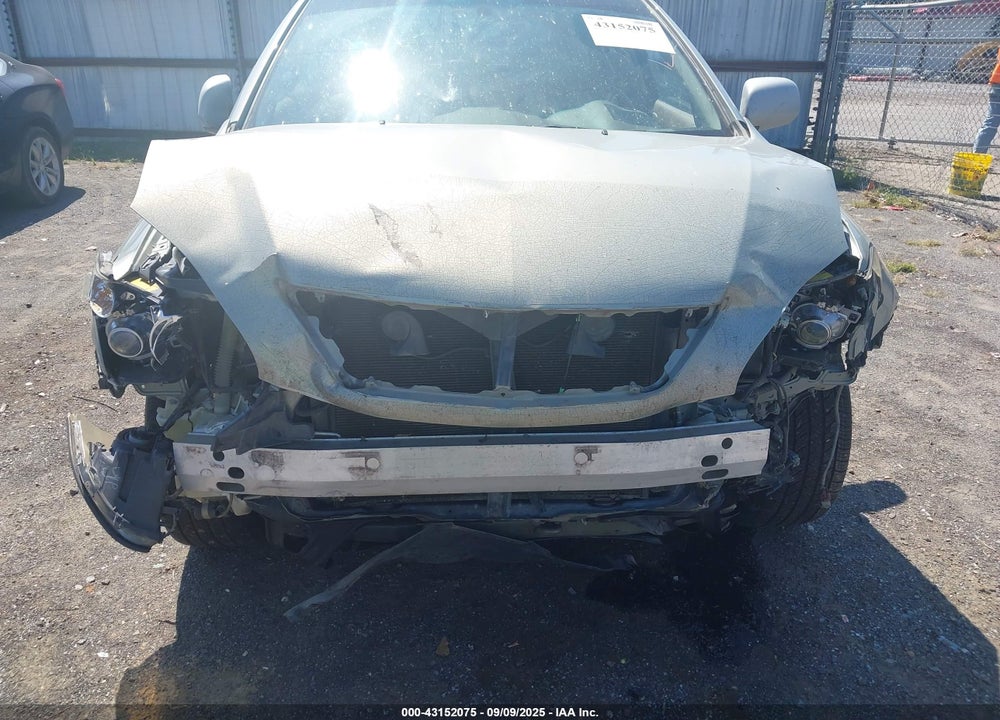 2007 LEXUS RX 350 VIN: 2T2GK31U77C019393