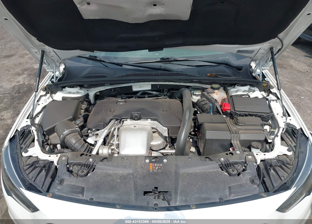 2019 BUICK REGAL SPORTBACK VIN: W04GR6SXXK1009684