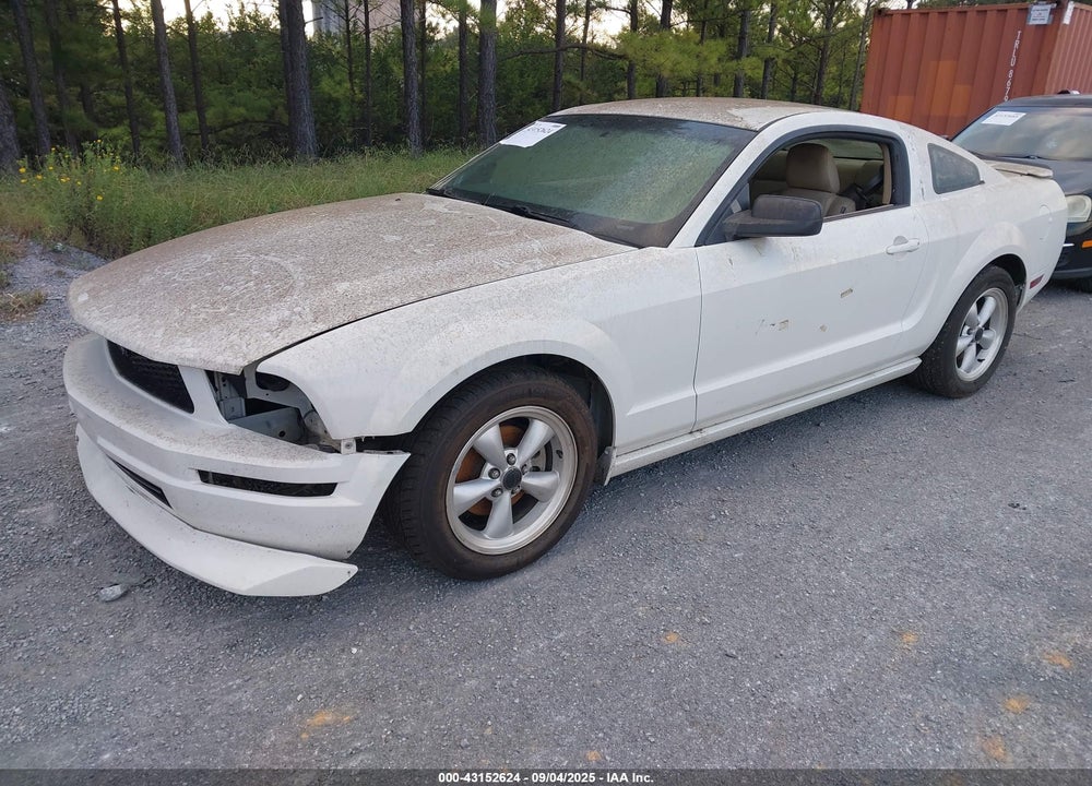 2009 FORD MUSTANG VIN: 1ZVHT80NX95113942