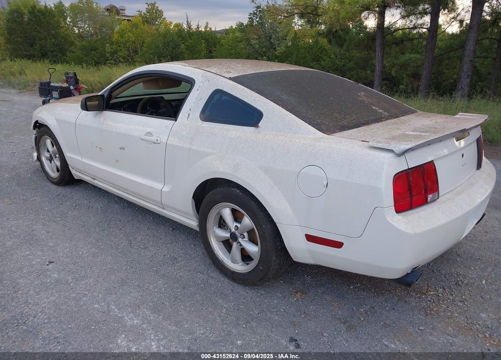 2009 FORD MUSTANG VIN: 1ZVHT80NX95113942