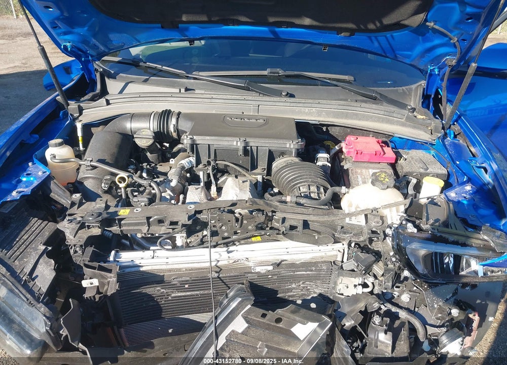 2023 DODGE HORNET VIN: ZACNDFAN8P3A03683