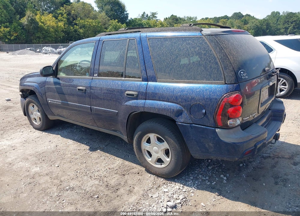 2002 CHEVROLET TRAILBLAZER VIN: 1GNDS13S922428209