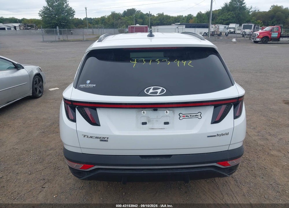 2023 HYUNDAI TUCSON HYBRID VIN: KM8JBCA13PU097992