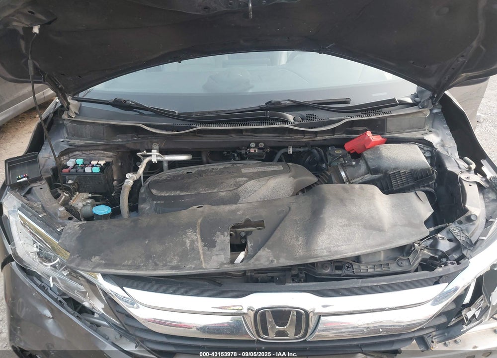 2019 HONDA ODYSSEY VIN: 5FNRL6H74KB071290