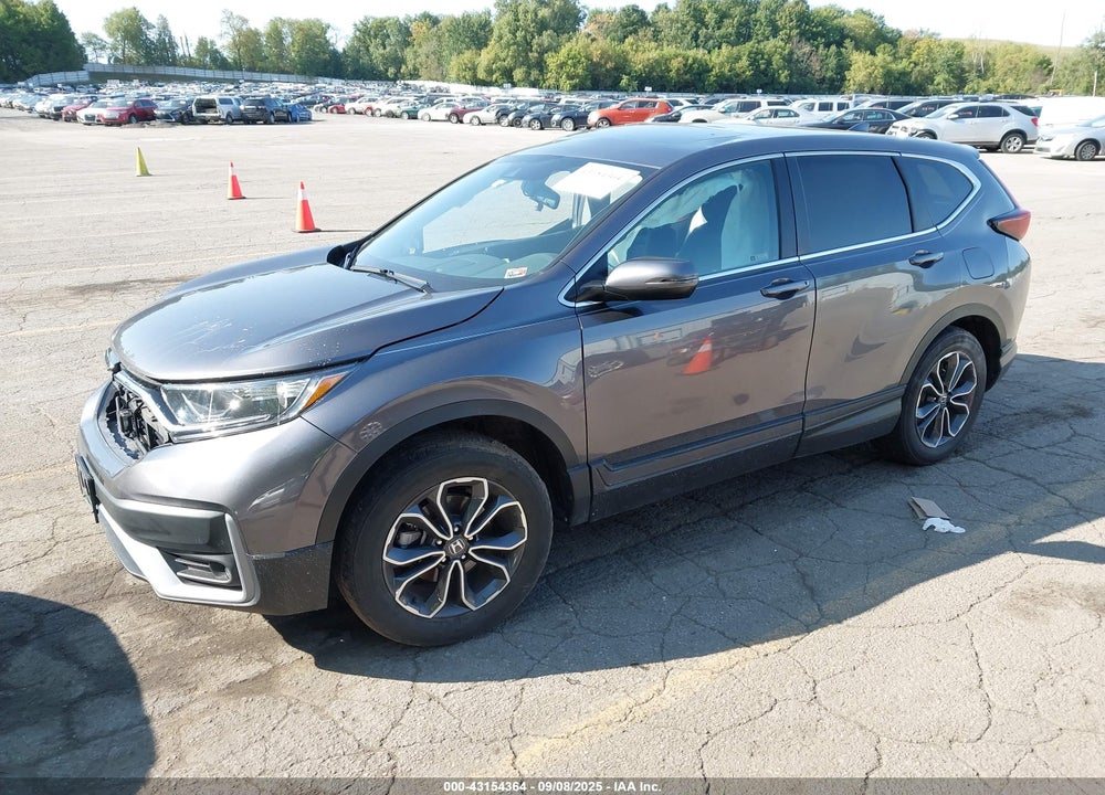 2020 HONDA CR-V VIN: 5J6RW2H81LA019693