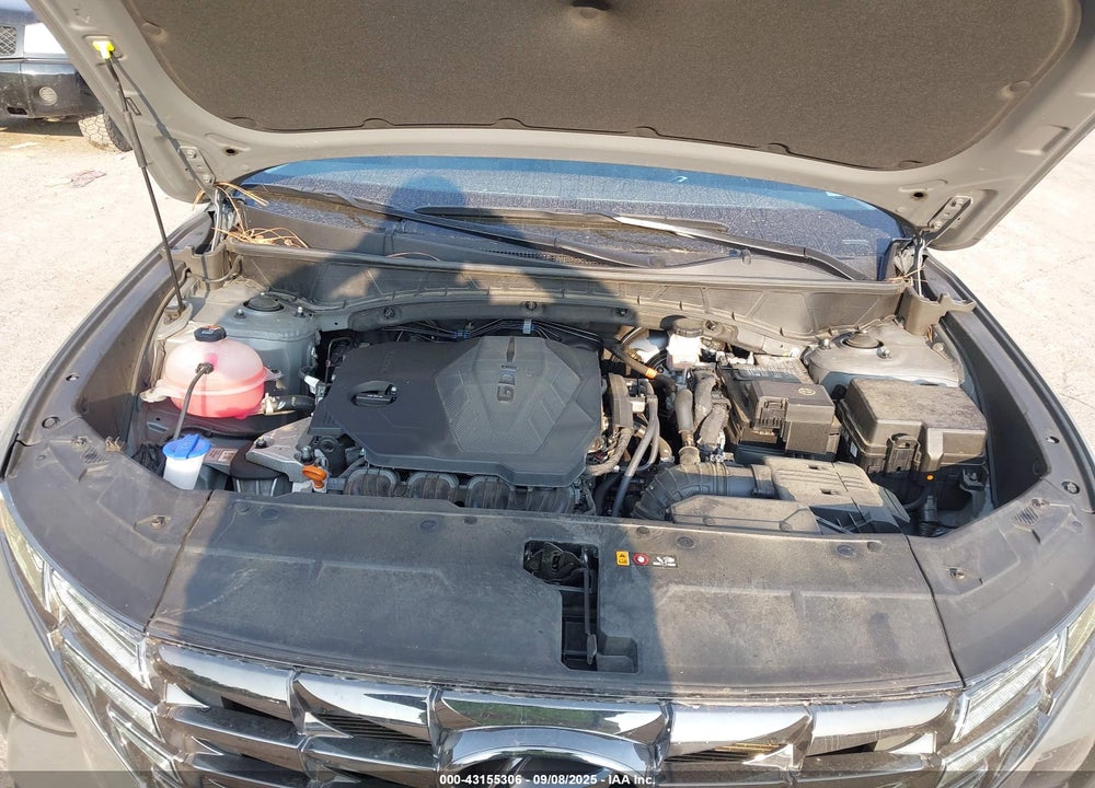 2024 HYUNDAI TUCSON VIN: 5NMJECDE9RH354609