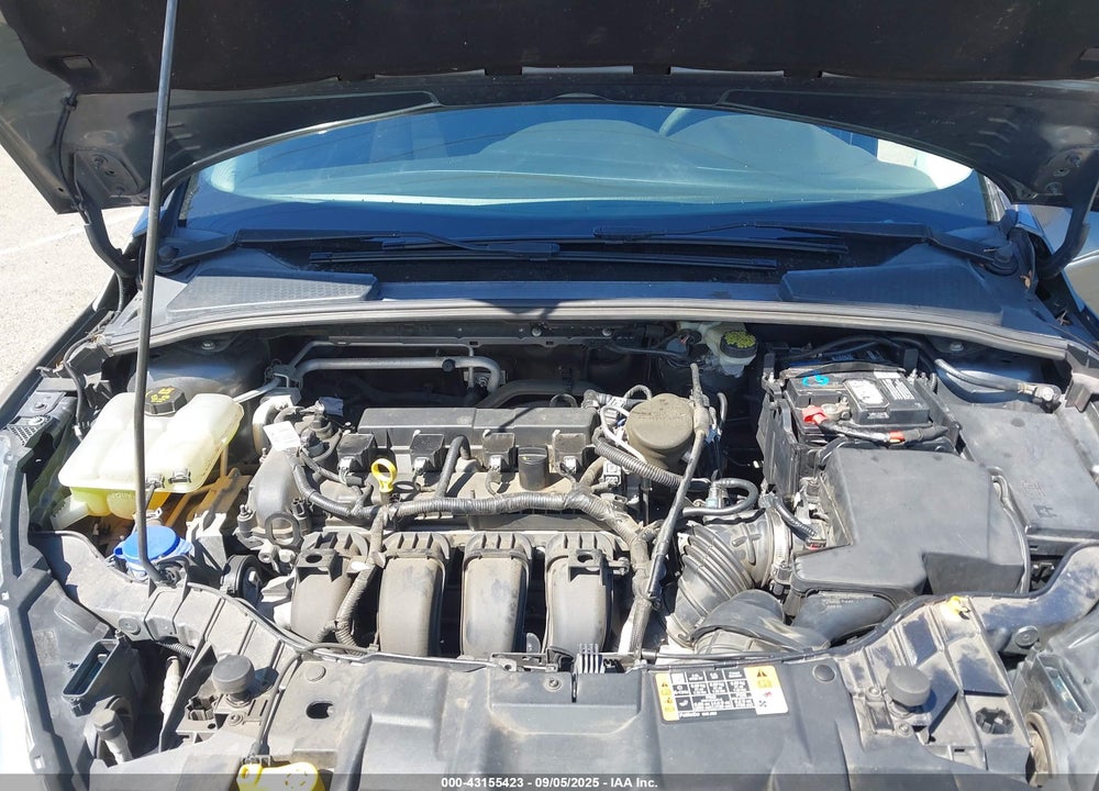2016 FORD FOCUS VIN: 1FADP3E23GL238836