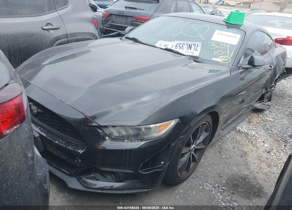2015 FORD MUSTANG VIN: 1FA6P8TH1F5396334