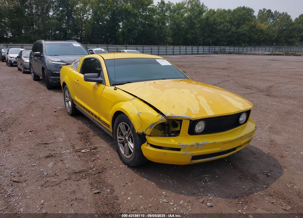 2006 FORD MUSTANG V6 VIN: 1ZVFT80N065160089