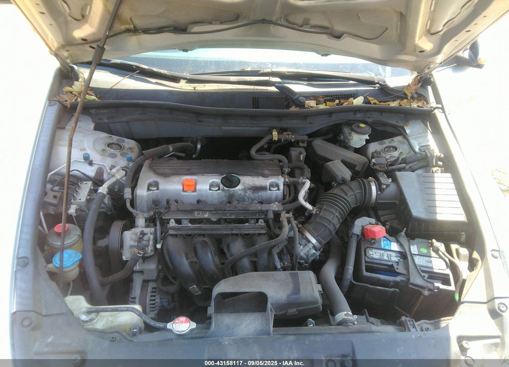 2010 HONDA ACCORD 2.4 LX VIN: 1HGCP2F3XAA038516