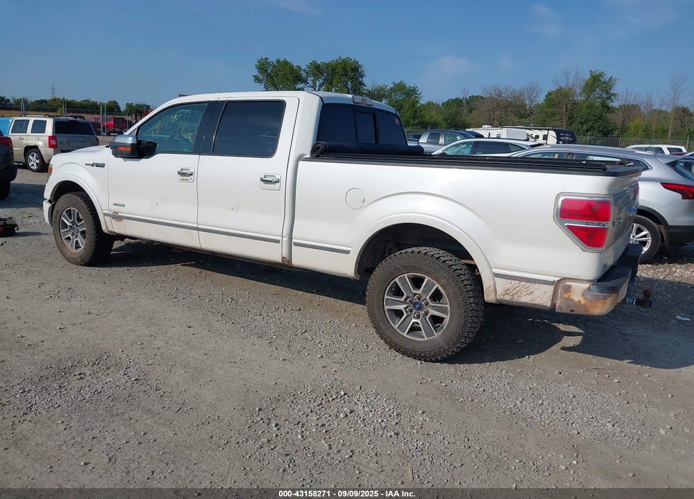 2013 FORD F-150 PLATINUM VIN: 1FTFW1ET4DFA52557