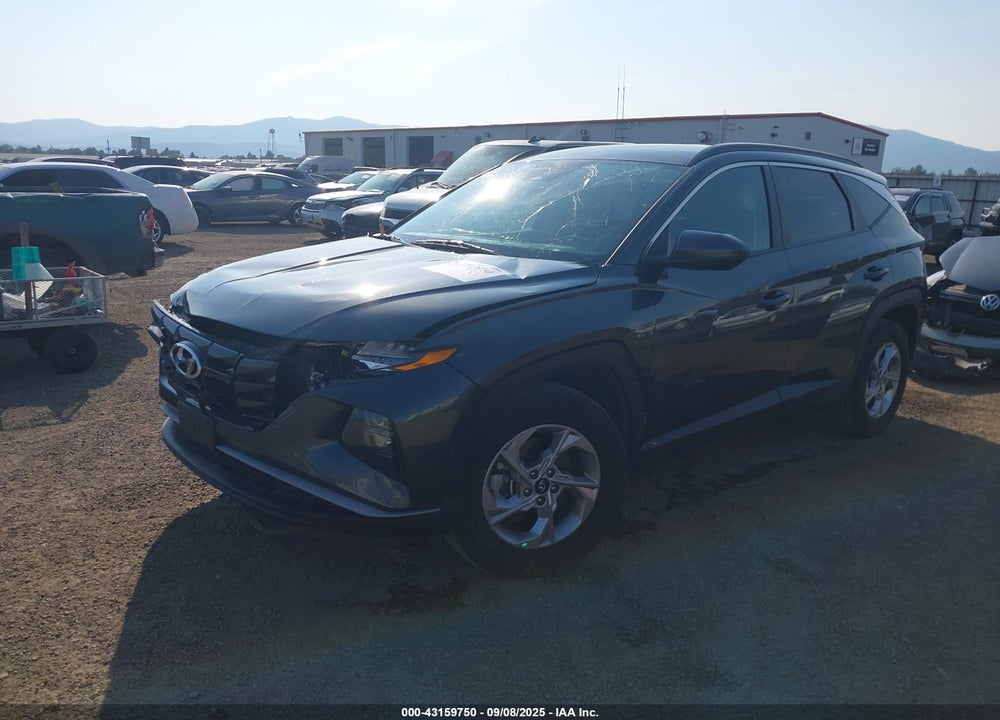 2024 HYUNDAI TUCSON VIN: 5NMJBCDE1RH299081