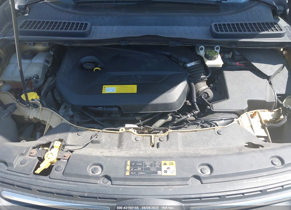 2014 FORD ESCAPE VIN: 1FMCU0GX8EUC31437