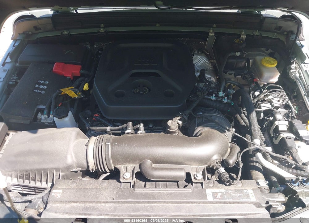 2024 JEEP WRANGLER / VIN: 1C4PJXEN8RW197664