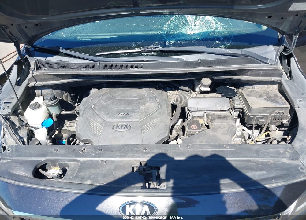2021 KIA SEDONA VIN: KNDMB5C10M6666727