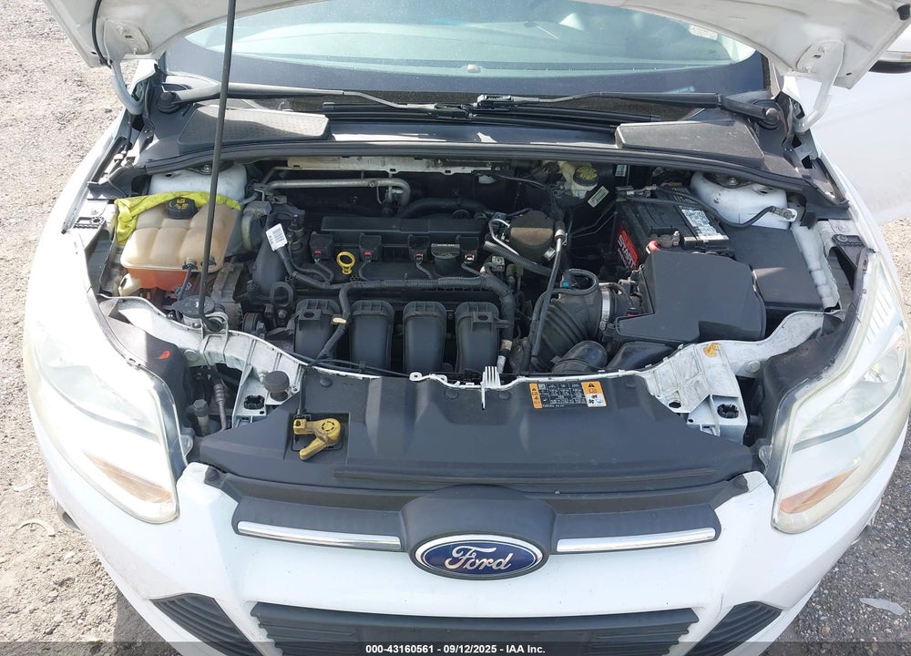 2014 FORD FOCUS SE VIN: 1FADP3K29EL302587