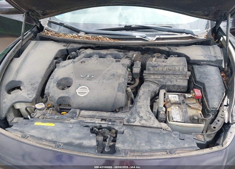 2012 NISSAN MAXIMA VIN: 1N4AA5AP7CC838075