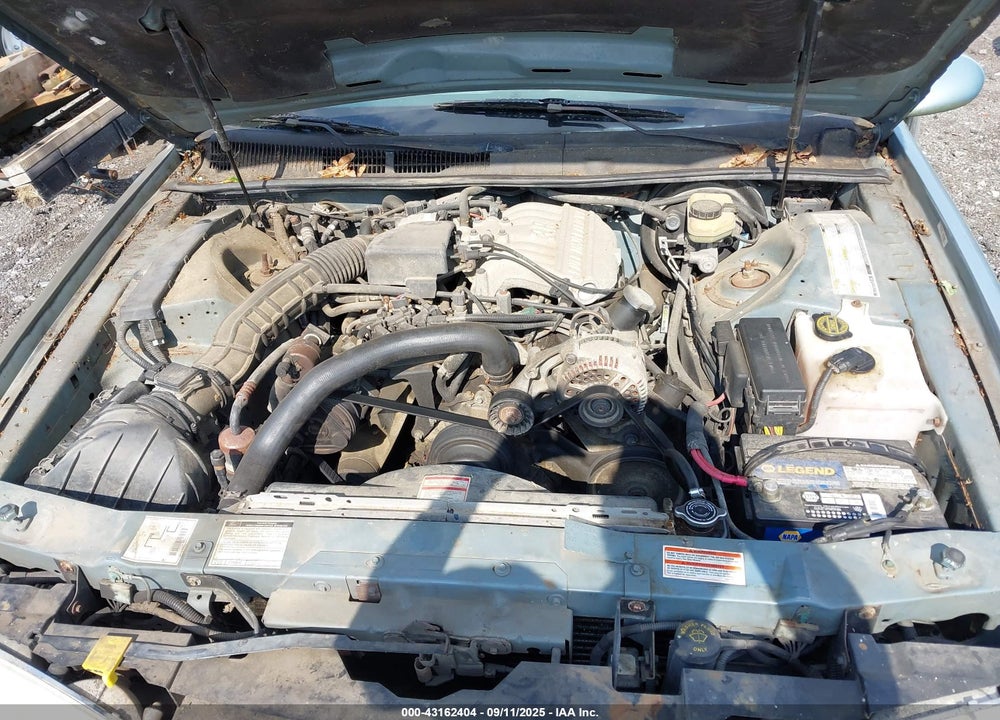 1997 FORD THUNDERBIRD LX VIN: 1FALP6245VH149448