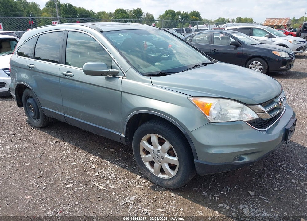 2010 HONDA CR-V EX-L VIN: JHLRE4H79AC013902