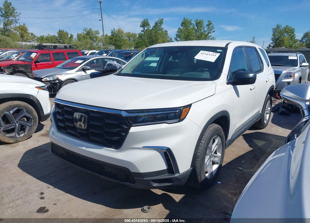 2024 HONDA PILOT VIN: 5FNYG1H20RB009063