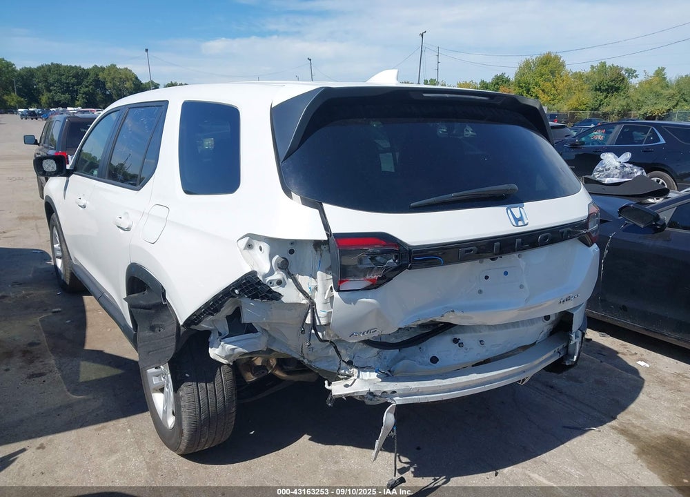 2024 HONDA PILOT VIN: 5FNYG1H20RB009063