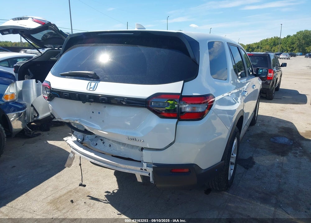2024 HONDA PILOT VIN: 5FNYG1H20RB009063