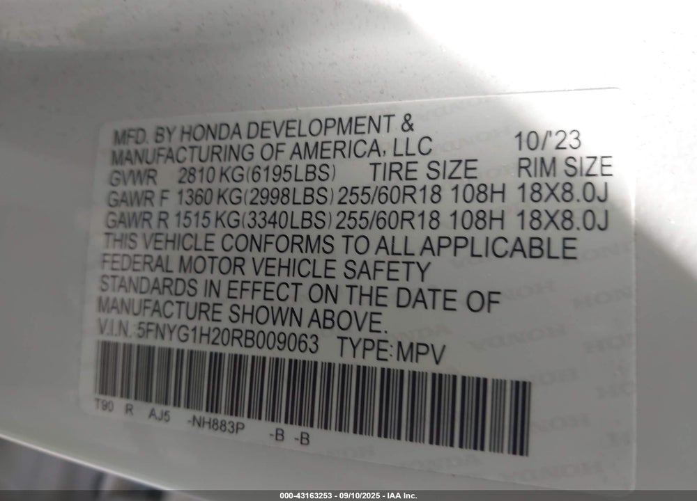 2024 HONDA PILOT VIN: 5FNYG1H20RB009063