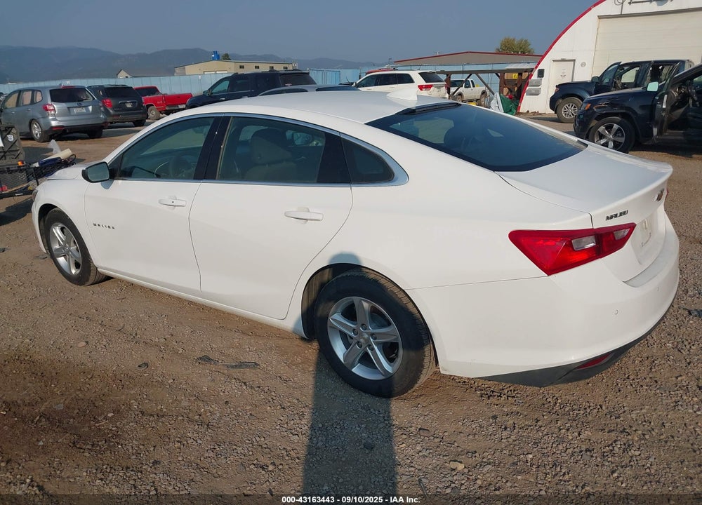 2024 CHEVROLET MALIBU FWD 1LT VIN: 1G1ZD5ST8RF225754
