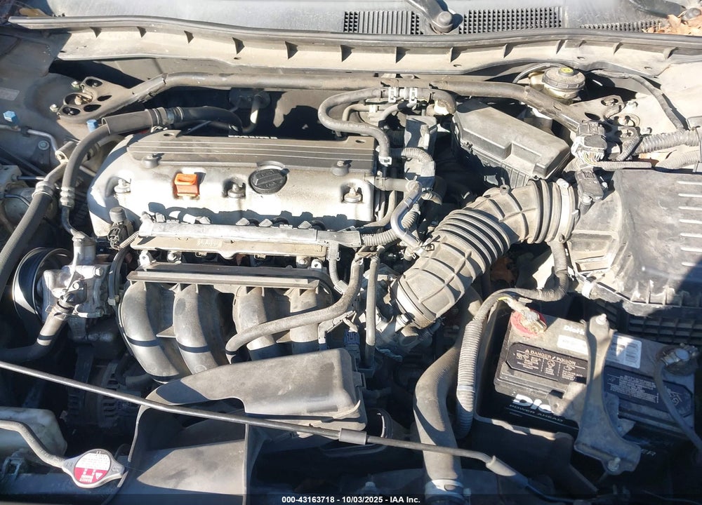 2010 HONDA ACCORD VIN: 1HGCP2F86AA064929
