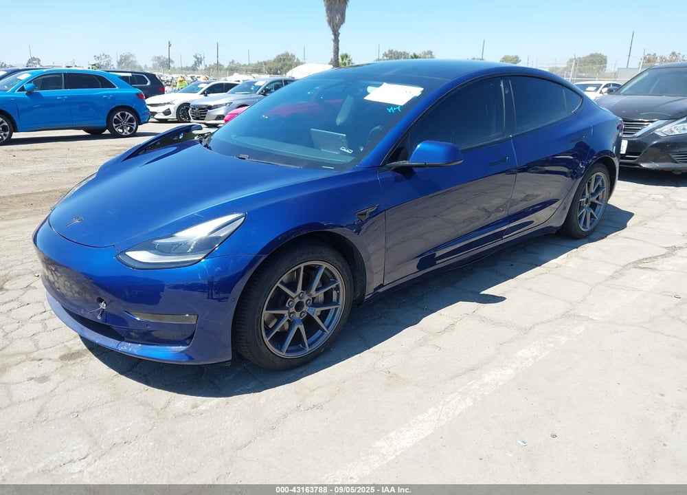 2021 TESLA MODEL 3 VIN: 5YJ3E1EA3MF988923