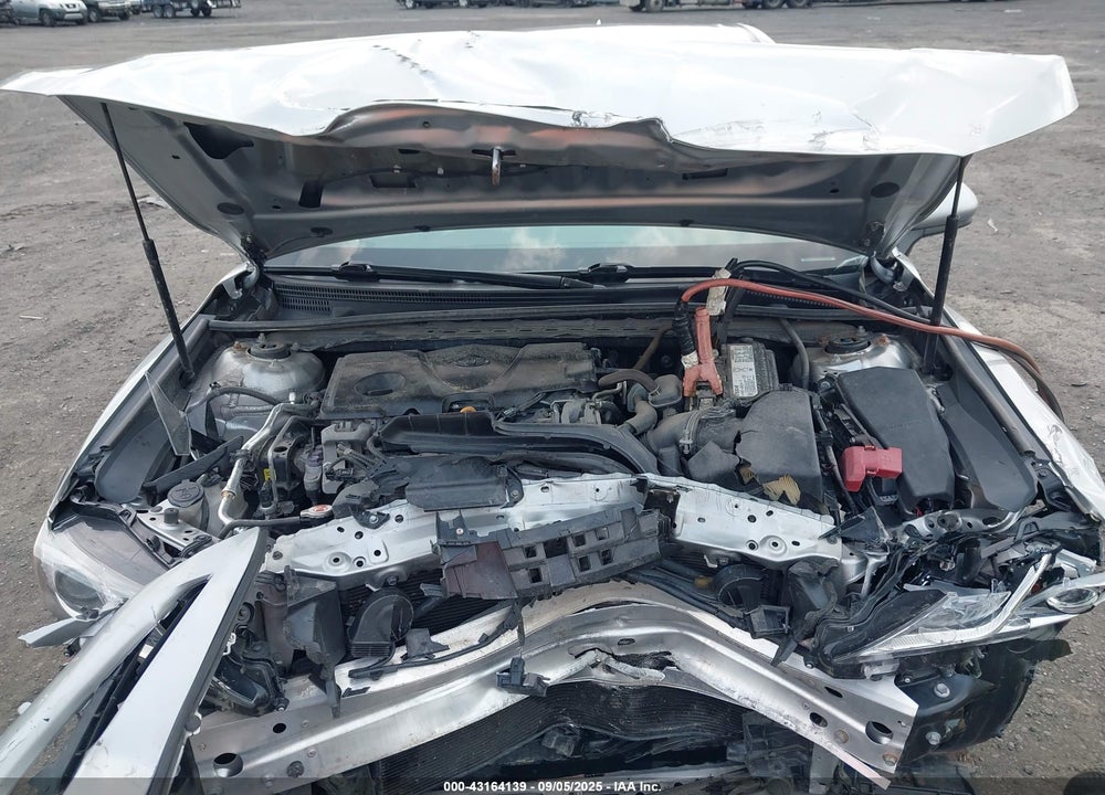 2019 TOYOTA CAMRY VIN: 4T1B11HK4KU175019