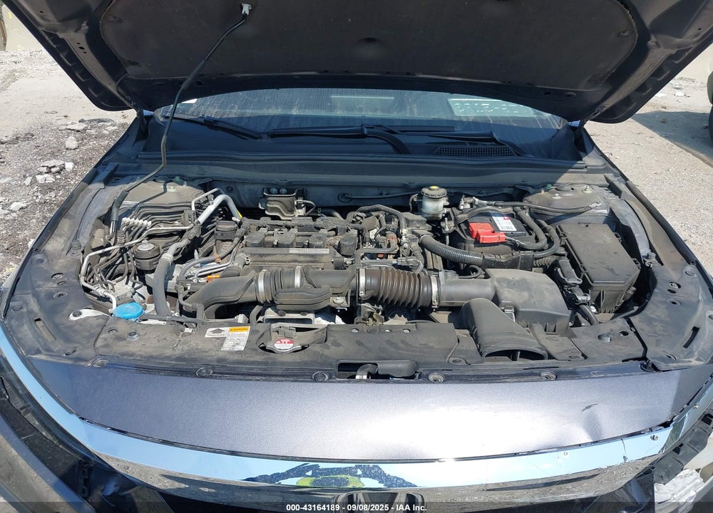 2019 HONDA ACCORD VIN: 1HGCV1F13KA082695