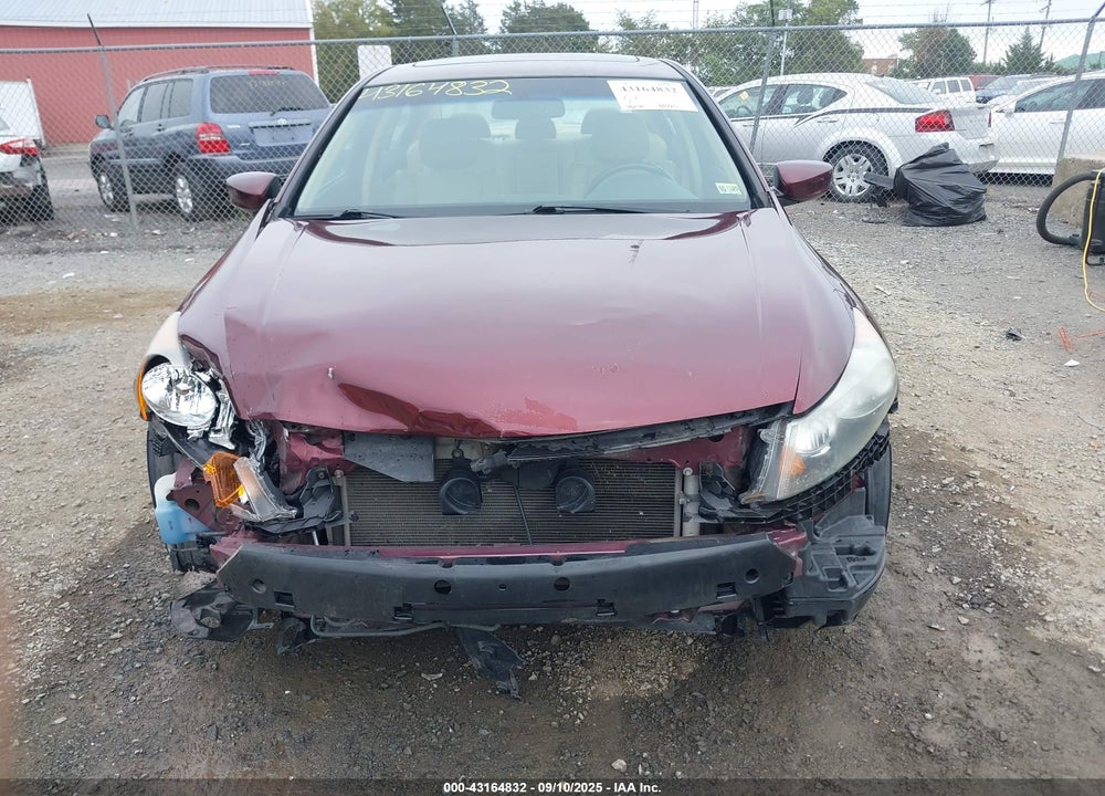 2011 HONDA ACCORD VIN: 1HGCP2F83BA038984