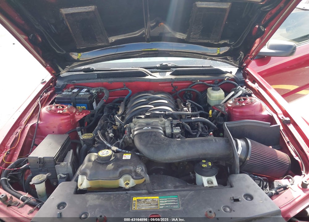 2006 FORD MUSTANG GT VIN: 1ZVFT85H665257154
