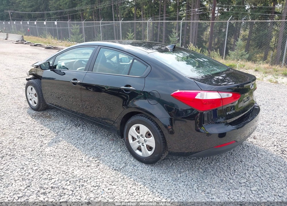 2014 KIA FORTE VIN: KNAFK4A62E5065499