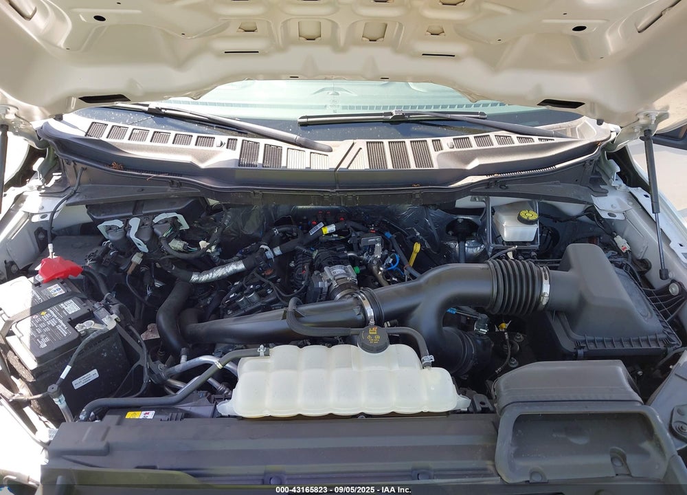 2024 FORD F-150 VIN: 1FTEW2KP6RKF00563