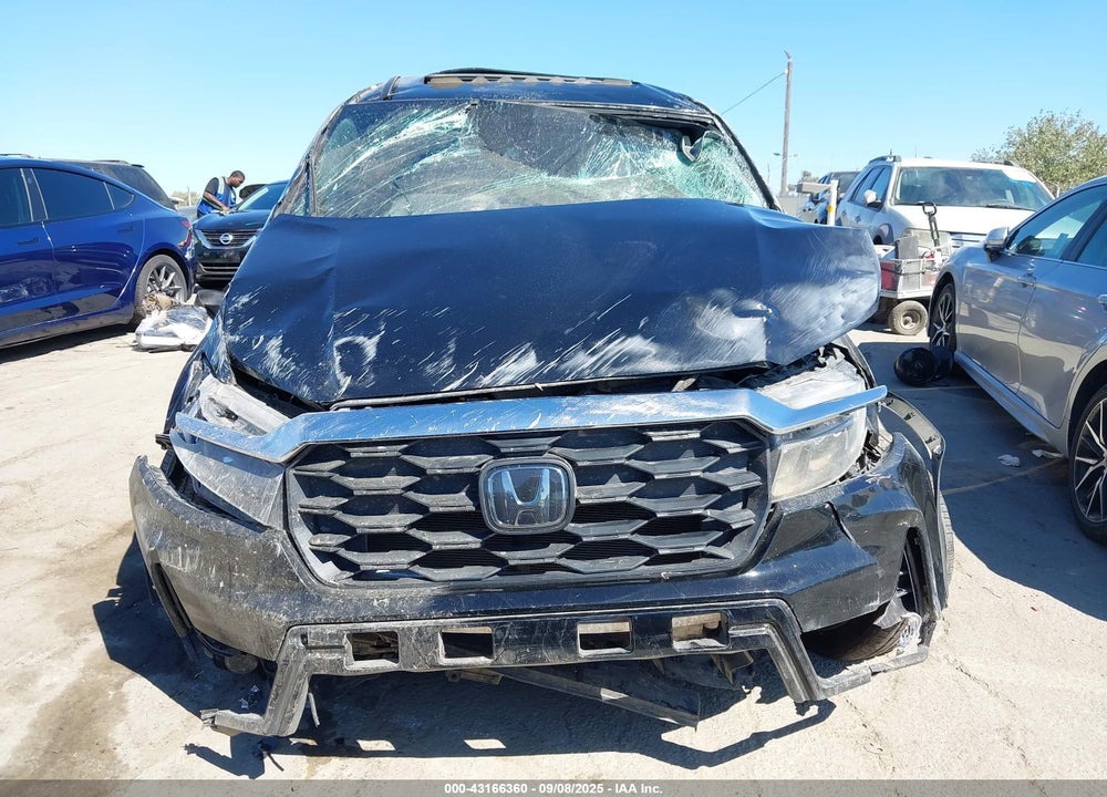 2023 HONDA PASSPORT AWD EX-L VIN: 5FNYF8H5XPB009512