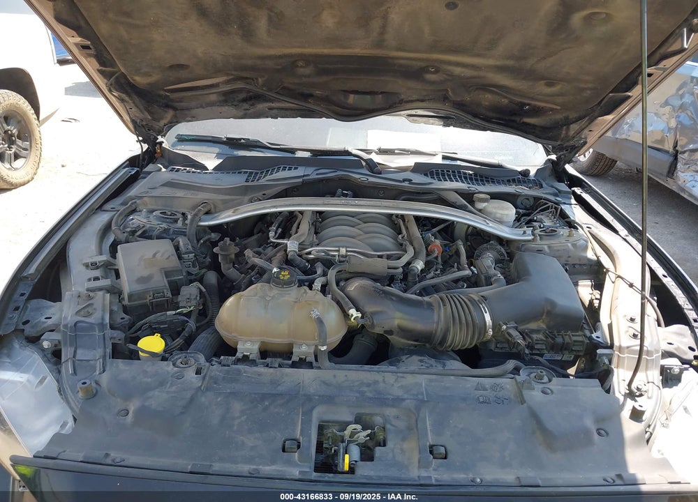 2019 FORD MUSTANG GT PREMIUM VIN: 1FA6P8CF2K5187919