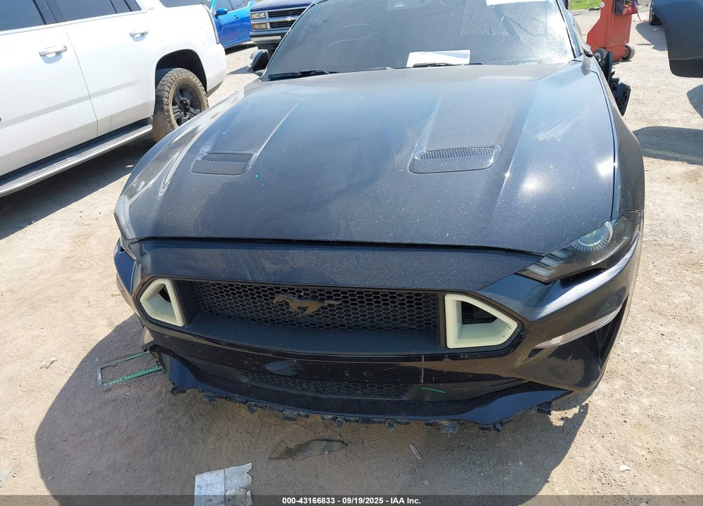 2019 FORD MUSTANG GT PREMIUM VIN: 1FA6P8CF2K5187919