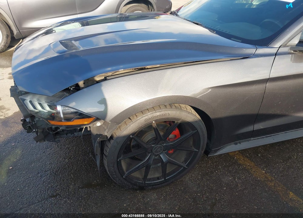 2019 FORD MUSTANG ECOBOOST VIN: 1FA6P8TH4K5120899