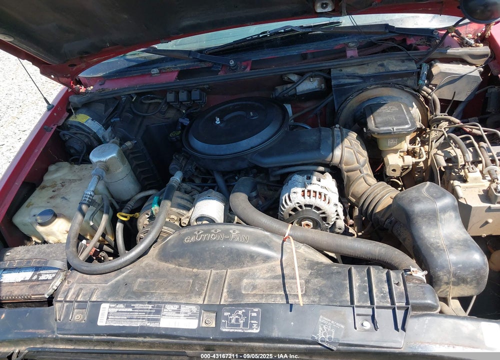 1994 CHEVROLET S TRUCK S10 VIN: 1GCCS19Z8R8201562