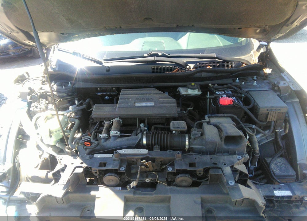 2019 HONDA CR-V VIN: 7FARW2H80KE059862