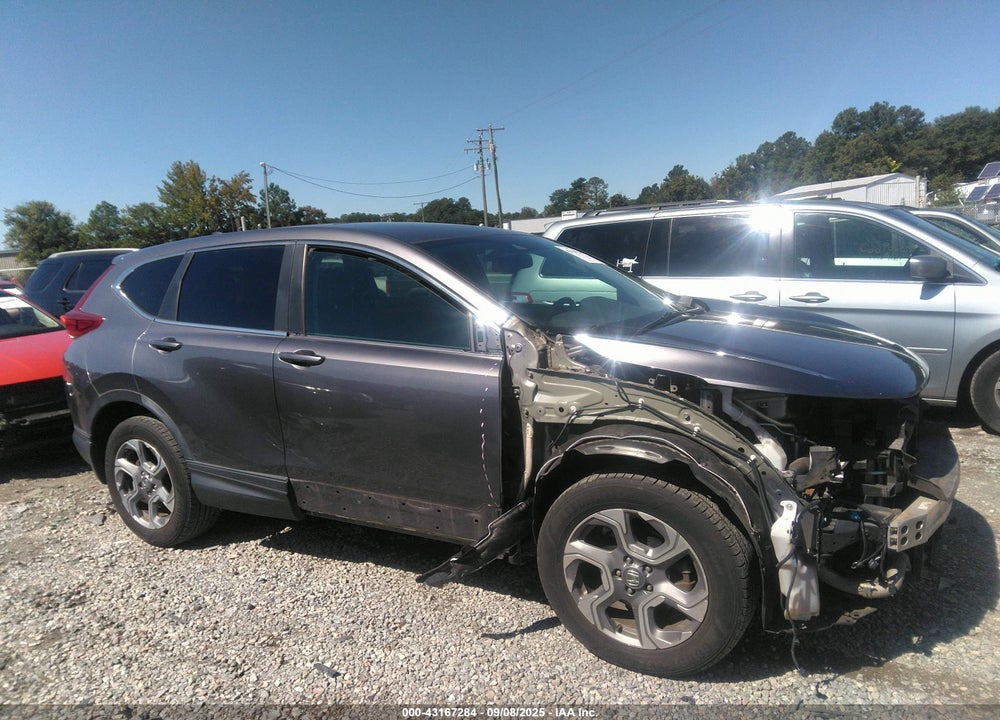 2019 HONDA CR-V VIN: 7FARW2H80KE059862