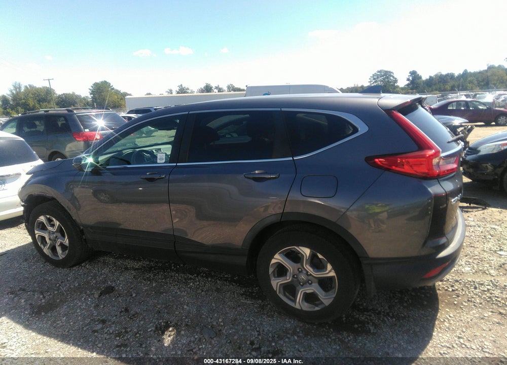 2019 HONDA CR-V VIN: 7FARW2H80KE059862