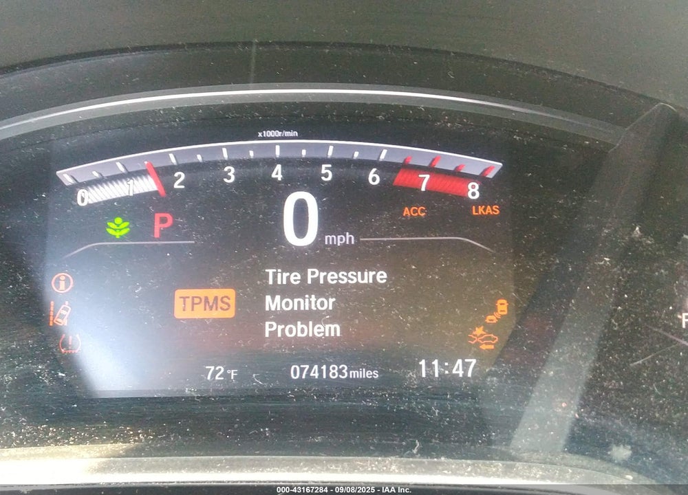2019 HONDA CR-V VIN: 7FARW2H80KE059862