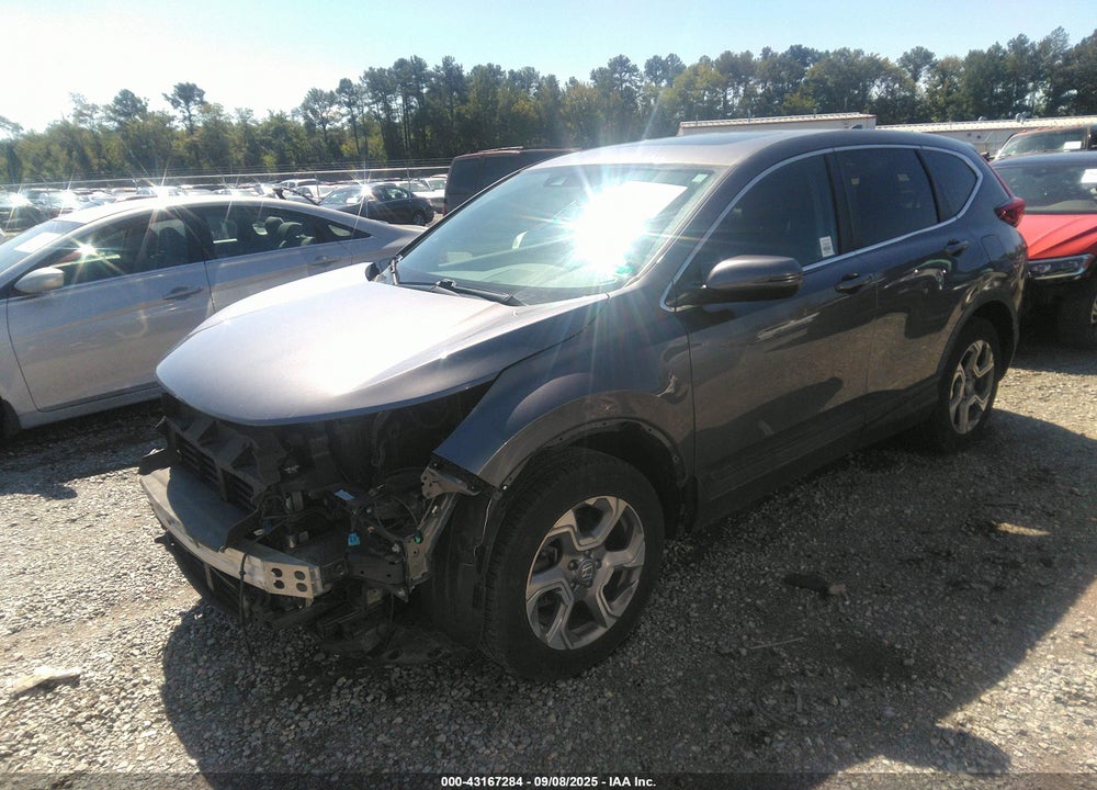 2019 HONDA CR-V VIN: 7FARW2H80KE059862